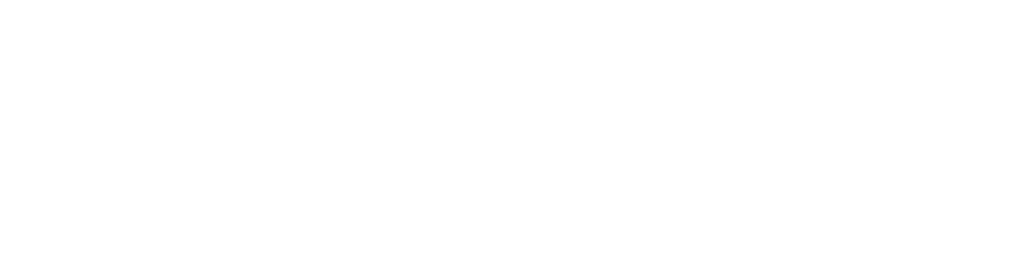 IBSi